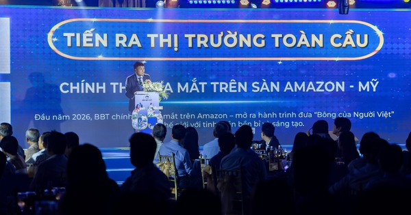 Giấc mơ đưa ‘bông Việt’ vươn ra thế giới của doanh nghiệp 65 tuổi