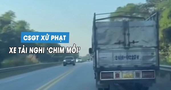 CSGT xử phạt xe tải bị nghi là 'chim mồi' trên cao tốc