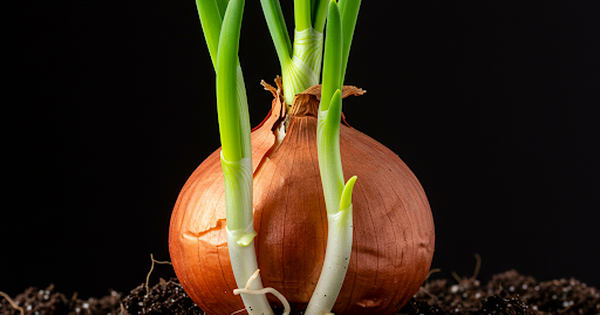 Ng&agrave;y mới với tin tức sức khỏe: Thực hư th&ocirc;ng tin 'h&agrave;nh t&acirc;y ti&ecirc;u diệt virus c&uacute;m'