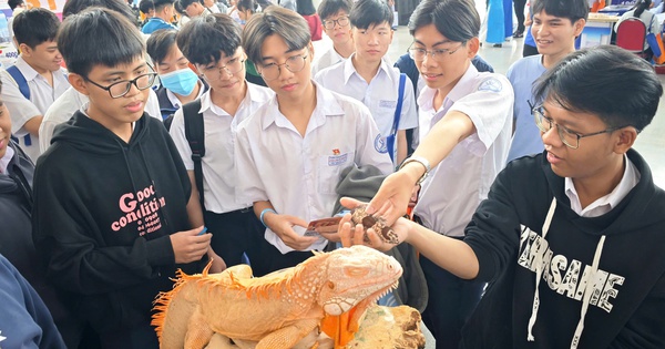 Những ng&agrave;nh c&ocirc;ng nghệ mới thu h&uacute;t học sinh