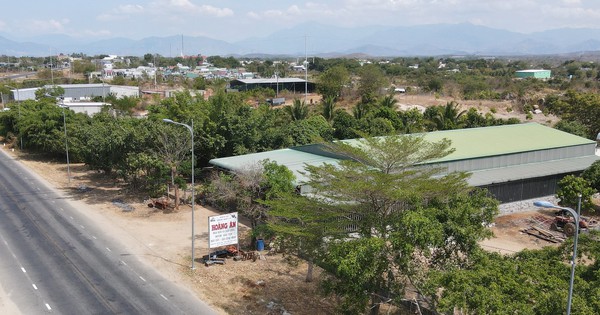 Vụ đấu gi&aacute; đất 'chưa sạch' ở Ninh Thuận: Kiến nghị hủy kết quả tr&uacute;ng đấu gi&aacute;