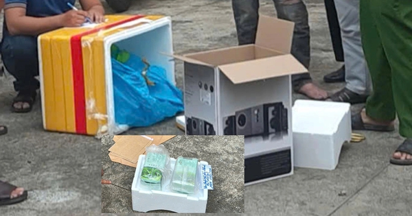 B&igrave;nh Phước: Triệt ph&aacute; đường d&acirc;y ma t&uacute;y li&ecirc;n tỉnh, thu giữ 8 kg ma t&uacute;y