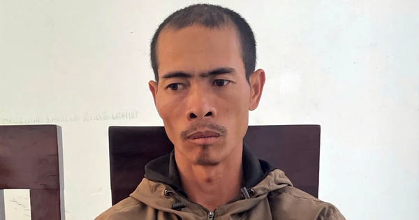 Tạm giữ thủ phạm chặt ph&aacute; vườn c&agrave; ph&ecirc; của người mẹ đơn th&acirc;n tại Gia Lai