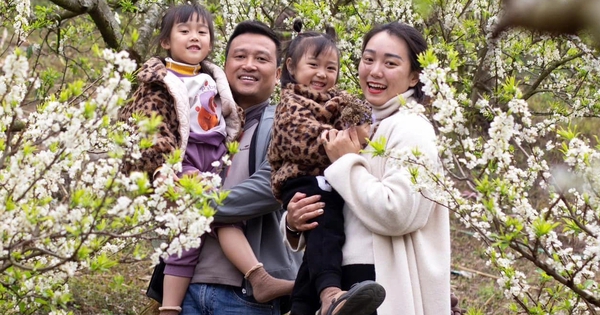 Mộc Ch&acirc;u thu hơn 1.300 tỉ đồng trong m&ugrave;a hoa mận