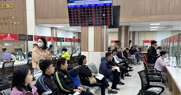 Gi&aacute;o vi&ecirc;n Hải Ph&ograve;ng, Quảng Ninh đổ x&ocirc; đi đăng k&yacute; kinh doanh dạy th&ecirc;m