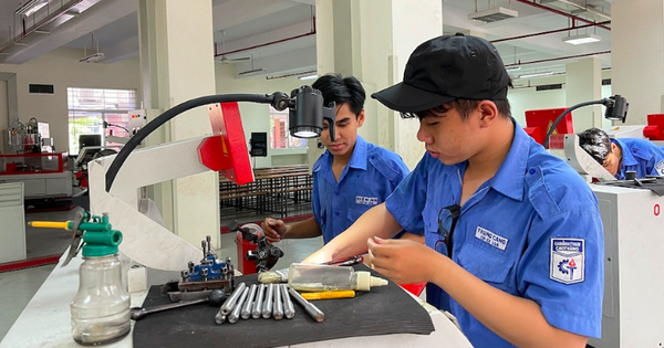 Bộ GD-ĐT giảm 5 đơn vị, ch&iacute;nh thức quản l&yacute; c&aacute;c trường CĐ v&agrave; trung cấp