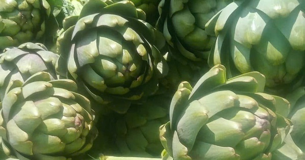 B&aacute;c sĩ chia sẻ những c&aacute;ch phục hồi sức khỏe sau những ng&agrave;y nghỉ d&agrave;i