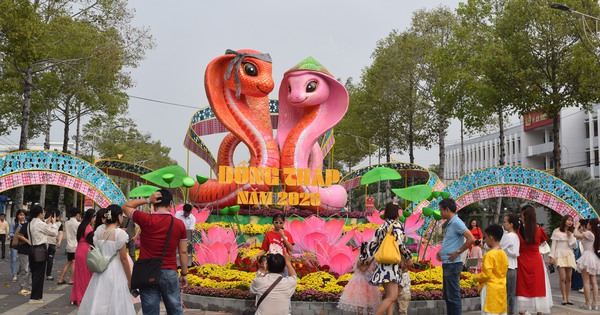 Hơn 220.000 lượt du kh&aacute;ch tham quan, chụp ảnh &#039;cặp rắn&#039; đường hoa xu&acirc;n Đồng Th&aacute;p