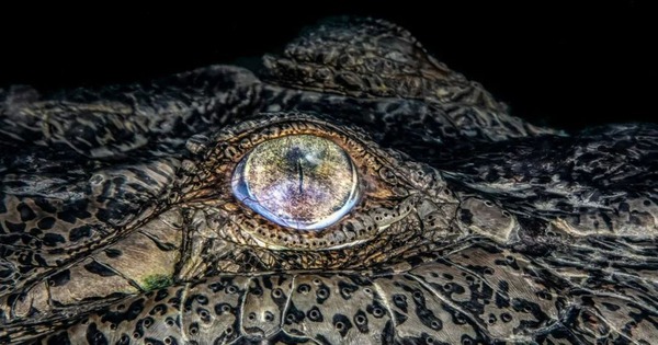 Chi&ecirc;m ngưỡng những bức ảnh du lịch đẹp nhất thế giới