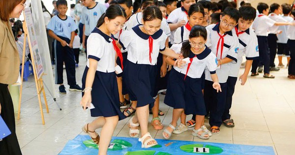 TP.HCM: Những trường tiểu học n&agrave;o đ&atilde; được s&aacute;p nhập?