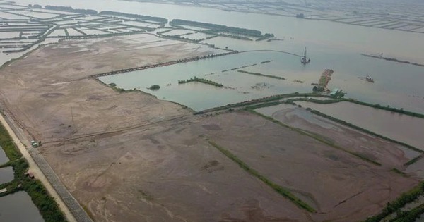 Nam Định phạt 900 triệu đồng 6 c&aacute; nh&acirc;n lấn chiếm đất Cồn Xanh