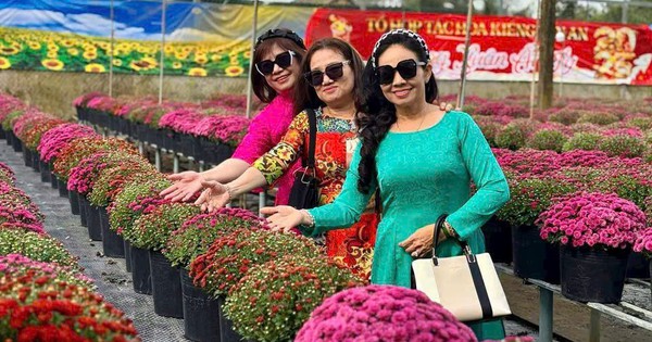 Đồng Th&aacute;p tổ chức Festival hoa - kiểng Sa Đ&eacute;c lần thứ 2 đầu năm 2026