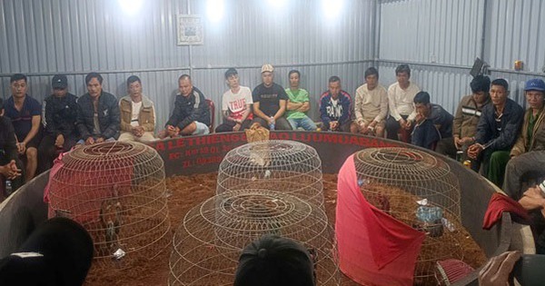 Triệt ph&aacute; tụ điểm đ&aacute; g&agrave; trong kho h&agrave;ng, bắt giữ 50 người