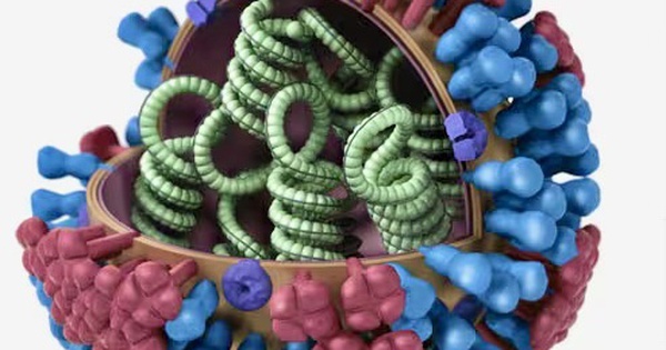 Bộ Y tế th&ocirc;ng tin mới nhất về virus g&acirc;y bệnh c&uacute;m tại Việt Nam