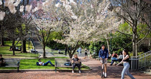 H&agrave;ng loạt ĐH Mỹ ngưng tuyển giảng vi&ecirc;n, cắt giảm tuyển sinh tiến sĩ, v&igrave; sao?