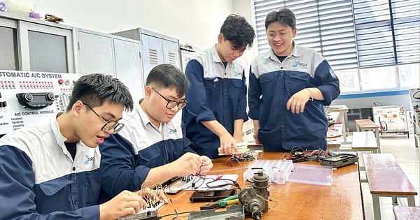 Nhiều trường ph&aacute;t triển th&agrave;nh ĐH v&agrave; trường trọng điểm