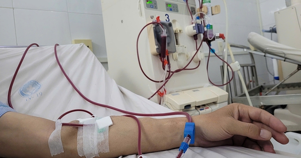 Bạn c&oacute; nguy cơ thận yếu hoặc mắc bệnh thận kh&ocirc;ng?