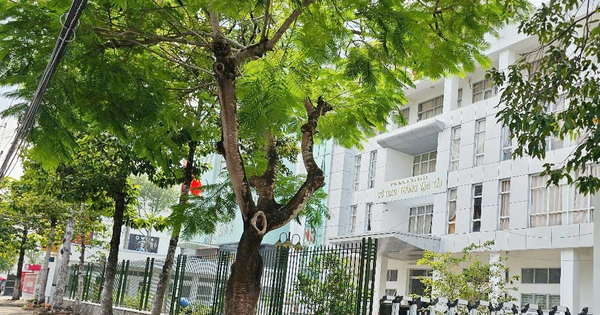 Cựu trưởng ph&ograve;ng Sở GTVT S&oacute;c Trăng nhận hối lộ để cấp ph&ugrave; hiệu xe