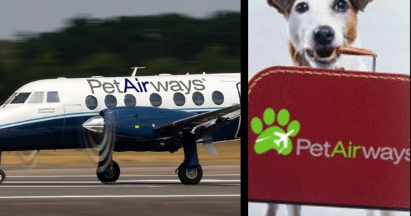 Từ khỏa th&acirc;n cho đến th&uacute; cưng, đ&acirc;y l&agrave; những h&atilde;ng h&agrave;ng kh&ocirc;ng kỳ lạ nhất