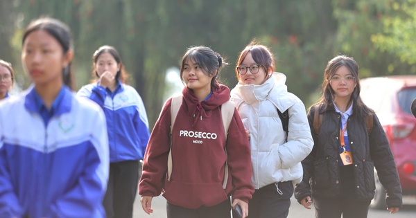 S&aacute;ng cuối tuần &yacute; nghĩa với học sinh cuối cấp tại TP.Đ&agrave; Lạt mờ sương