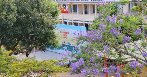 Tư vấn m&ugrave;a thi ở ng&ocirc;i trường 20 năm đồng h&agrave;nh với chương tr&igrave;nh