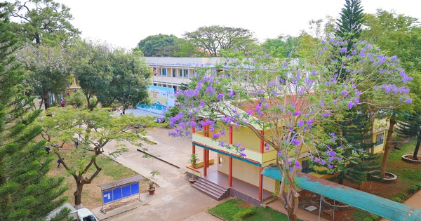 Ng&ocirc;i trường &#039;b&eacute;n duy&ecirc;n&#039; với chương tr&igrave;nh Tư vấn m&ugrave;a thi