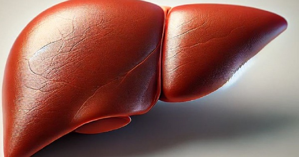 Nhiều người kh&ocirc;ng biết m&igrave;nh bị gan nhiễm mỡ, chớ coi thường!