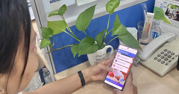 Bao nhi&ecirc;u phụ huynh TP.HCM h&agrave;i l&ograve;ng với tuyển sinh đầu cấp trực tuyến?