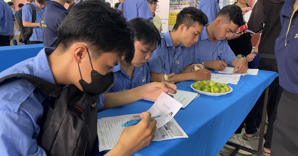 Năm 2025, ng&agrave;nh kỹ thuật c&ocirc;ng nghệ được tuyển sinh v&agrave; đ&agrave;o tạo ra sao?