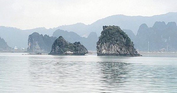 Quảng Ninh khai trương 7 h&agrave;nh tr&igrave;nh kh&aacute;m ph&aacute; vịnh B&aacute;i Tử Long