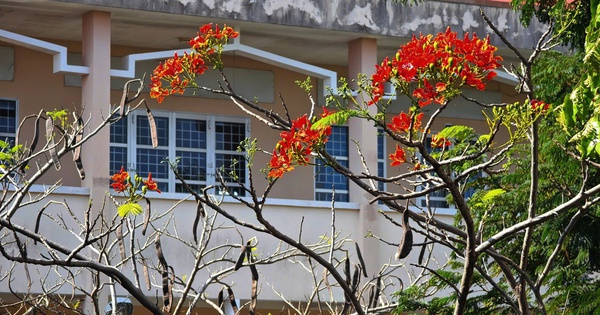 Trường học nổi tiếng v&ugrave;ng G&ograve; C&ocirc;ng sắp tr&ograve;n 70 tuổi