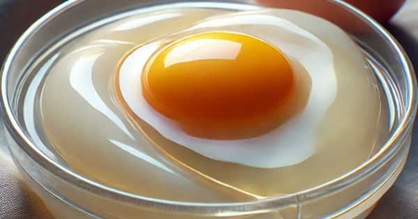 Ng&agrave;y mới với tin tức sức khỏe: Ph&aacute;t hiện th&ecirc;m lợi &iacute;ch của l&ograve;ng trắng trứng