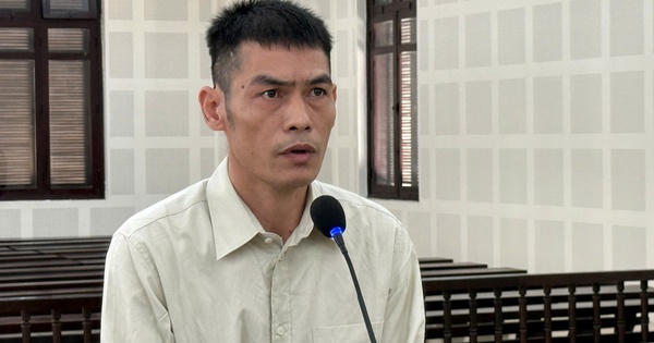 L&atilde;nh 12 năm t&ugrave; v&igrave; lừa đảo b&aacute;n nh&agrave; của người kh&aacute;c