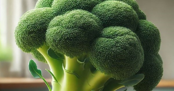 3 loại thực vật nam giới n&ecirc;n ăn v&igrave; cực tốt cho tuyến tiền liệt