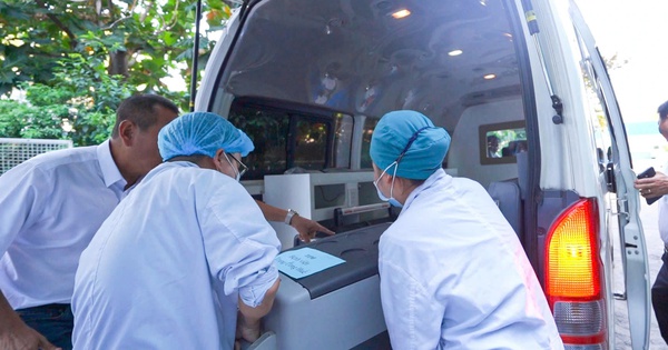 Bộ Y tế y&ecirc;u cầu gi&aacute;m s&aacute;t về điều phối lấy, gh&eacute;p tạng