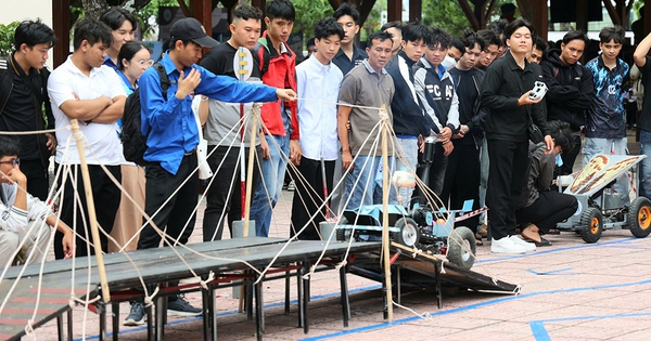 Kh&aacute;m ph&aacute; ch&iacute;nh m&igrave;nh, nhận qu&agrave; dễ thương tại Tư vấn m&ugrave;a thi