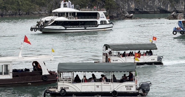 Ẩn họa từ t&agrave;u &#039;tăng bo&#039; tr&ecirc;n vịnh Hạ Long