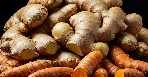 Ng&agrave;y mới với tin tức sức khỏe: T&aacute;c dụng bất ngờ khi kết hợp nghệ v&agrave; gừng