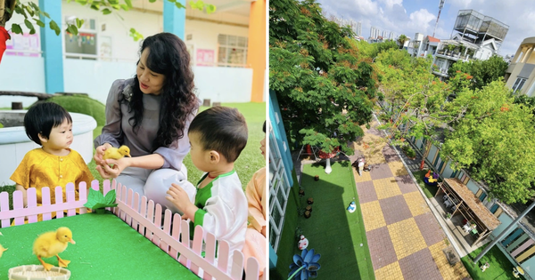 Trường mầm non c&ocirc;ng lập rộng 7.500 m2 tại quận 7, TP.HCM