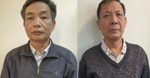 Cựu 'sếp' Tổng c&ocirc;ng ty Ch&egrave; Việt Nam bị x&eacute;t xử v&igrave; li&ecirc;n quan 'đất v&agrave;ng'