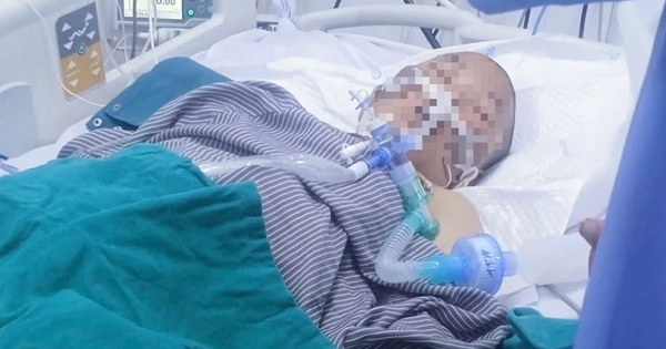 Vợ tử vong, chồng nguy kịch v&igrave; ăn nấm lạ