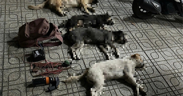 Tổ 363 C&ocirc;ng an TP.HCM truy đuổi bắt 2 người nghi trộm ch&oacute;