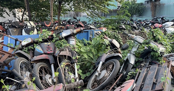 Cho b&aacute;n ngay tang vật nếu kh&ocirc;ng c&oacute; nơi bảo quản?