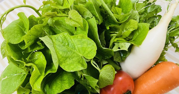 V&igrave; sao kẹo bổ sung chất xơ kh&ocirc;ng thể thay thế rau củ quả?