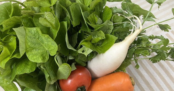 V&igrave; sao người gầy cũng c&oacute; thể bị gan nhiễm mỡ?