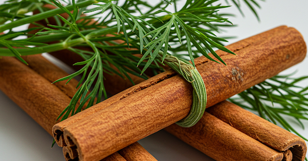 7 lợi &iacute;ch của việc uống nước quế v&agrave; th&igrave; l&agrave; khi bụng đ&oacute;i