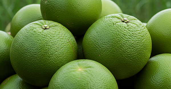 Ng&agrave;y mới với tin tức sức khỏe: Loại tr&aacute;i c&acirc;y quen thuộc gi&uacute;p giảm c&acirc;n, huyết &aacute;p