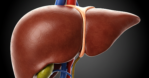 B&aacute;c sĩ chỉ c&aacute;ch ăn đơn giản c&oacute; thể giảm 50% nguy cơ mắc bệnh gan