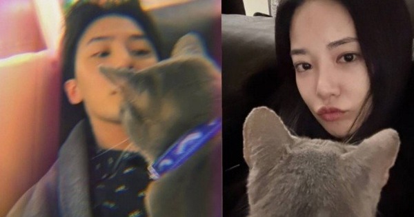 Rộ tin G-Dragon hẹn h&ograve; Lee Joo Yeon