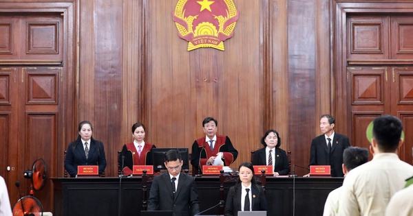 Đại &aacute;n c&aacute;t lậu, l&yacute; do t&ograve;a tuy&ecirc;n 2 bị c&aacute;o được phạt tiền thay phạt t&ugrave;